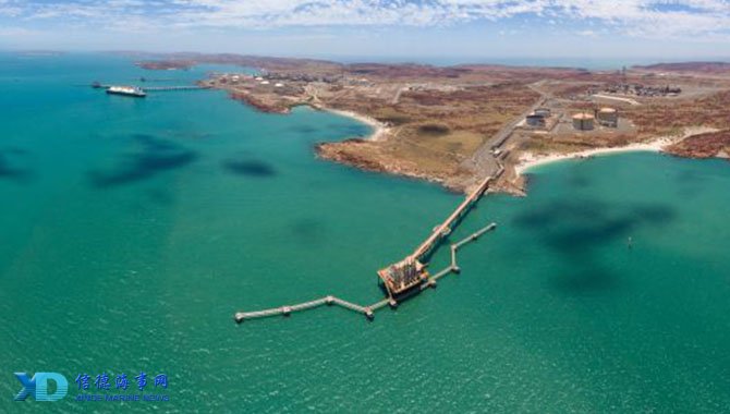 F1世界冠军诺里斯选择1号作为2026赛季车号